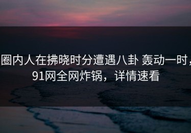 圈内人在拂晓时分遭遇八卦 轰动一时，91网全网炸锅，详情速看