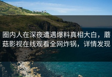 圈内人在深夜遭遇爆料真相大白，蘑菇影视在线观看全网炸锅，详情发现
