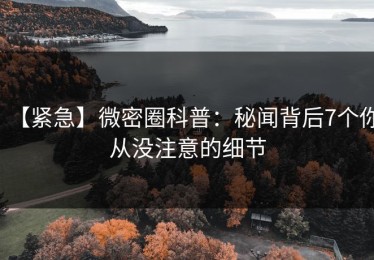 【紧急】微密圈科普：秘闻背后7个你从没注意的细节