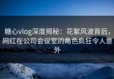 糖心vlog深度揭秘：花絮风波背后，网红在公司会议室的角色疯狂令人意外