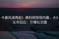 今晨风波再起！黑料网惊现内幕，大V无奈回应：引爆社交圈
