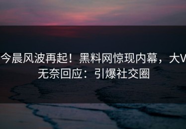 今晨风波再起！黑料网惊现内幕，大V无奈回应：引爆社交圈
