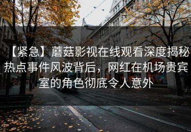 【紧急】蘑菇影视在线观看深度揭秘：热点事件风波背后，网红在机场贵宾室的角色彻底令人意外
