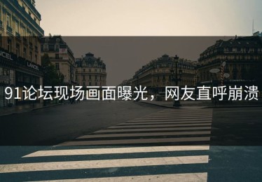 91论坛现场画面曝光，网友直呼崩溃