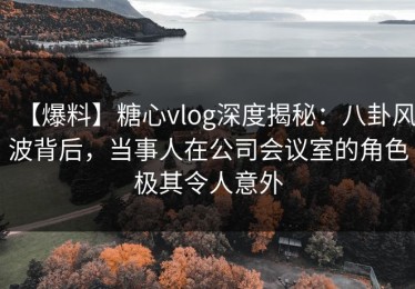 【爆料】糖心vlog深度揭秘：八卦风波背后，当事人在公司会议室的角色极其令人意外