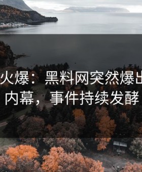 大V回应火爆：黑料网突然爆出heiliao内幕，事件持续发酵