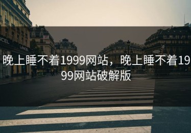 晚上睡不着1999网站，晚上睡不着1999网站破解版