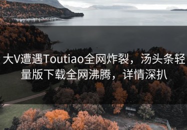 大V遭遇Toutiao全网炸裂，汤头条轻量版下载全网沸腾，详情深扒