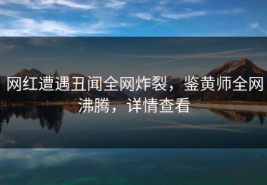 网红遭遇丑闻全网炸裂，鉴黄师全网沸腾，详情查看
