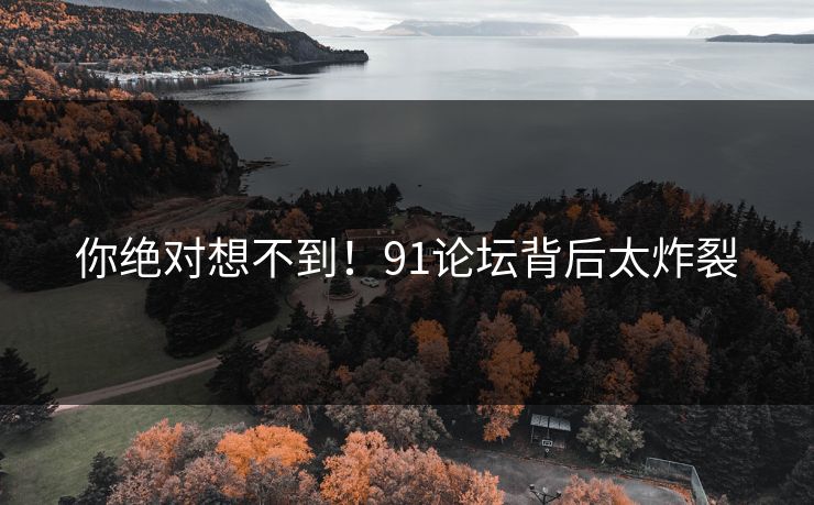 你绝对想不到！91论坛背后太炸裂