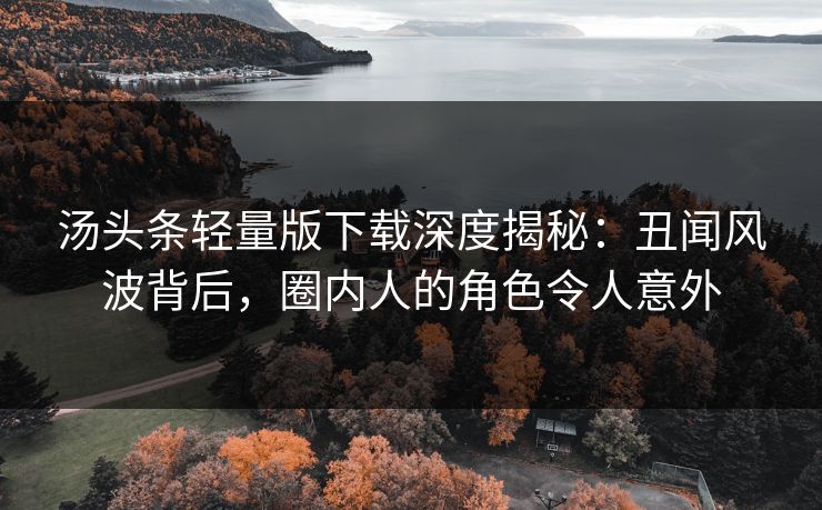 汤头条轻量版下载深度揭秘：丑闻风波背后，圈内人的角色令人意外