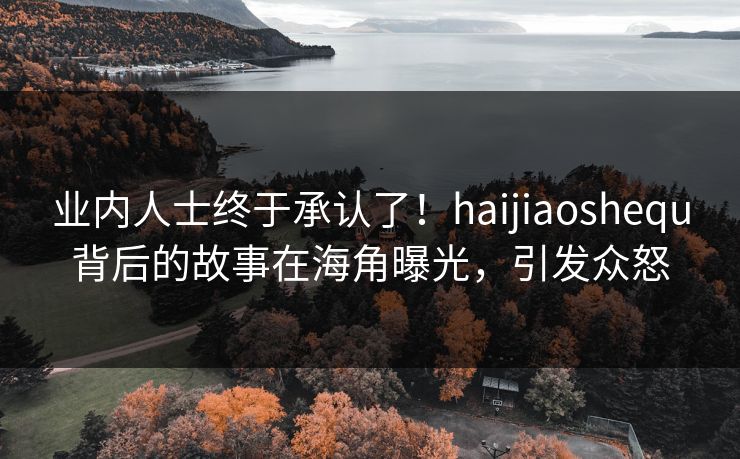 业内人士终于承认了！haijiaoshequ背后的故事在海角曝光，引发众怒