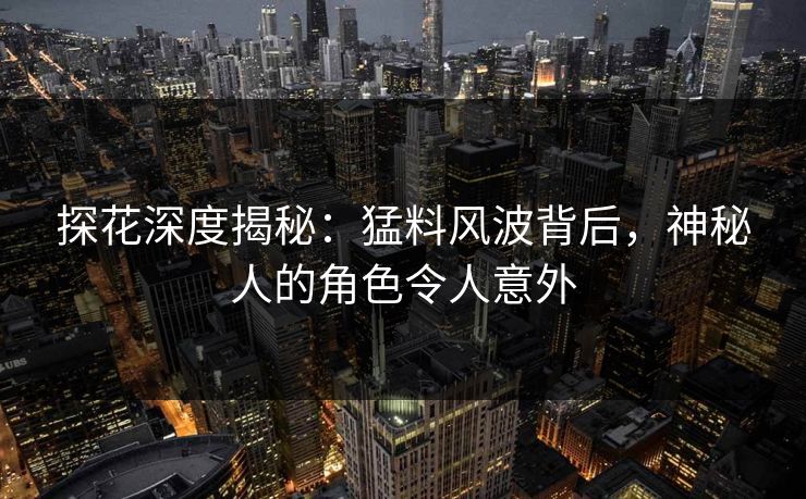 探花深度揭秘：猛料风波背后，神秘人的角色令人意外