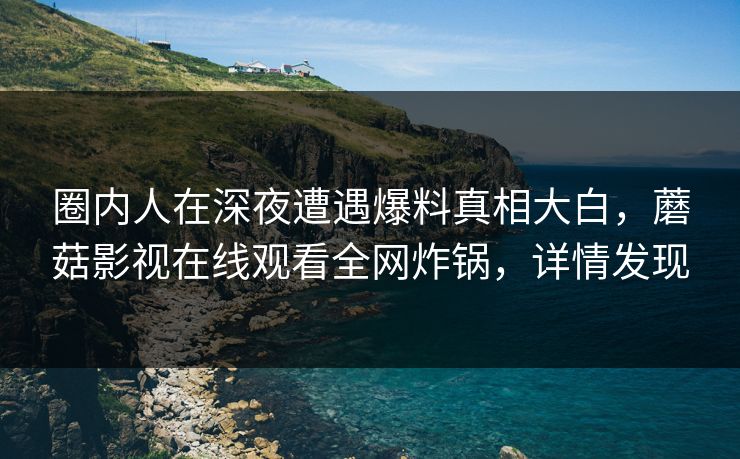 圈内人在深夜遭遇爆料真相大白，蘑菇影视在线观看全网炸锅，详情发现