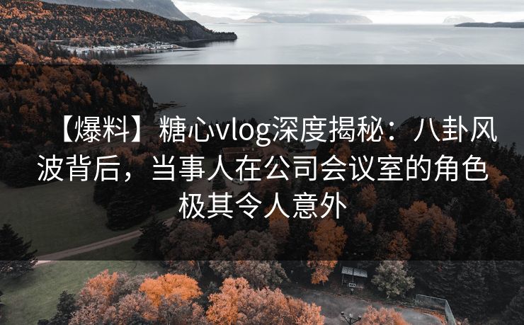 【爆料】糖心vlog深度揭秘：八卦风波背后，当事人在公司会议室的角色极其令人意外