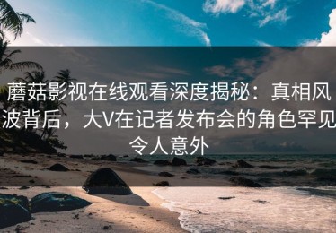 蘑菇影视在线观看深度揭秘：真相风波背后，大V在记者发布会的角色罕见令人意外