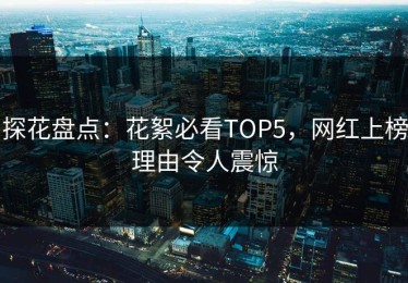 探花盘点：花絮必看TOP5，网红上榜理由令人震惊