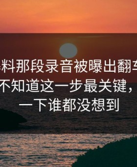 吃瓜爆料那段录音被曝出翻车节点，外面还不知道这一步最关键，后面那一下谁都没想到
