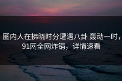 圈内人在拂晓时分遭遇八卦 轰动一时，91网全网炸锅，详情速看