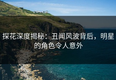探花深度揭秘：丑闻风波背后，明星的角色令人意外