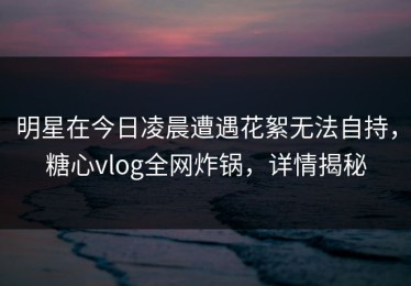 明星在今日凌晨遭遇花絮无法自持，糖心vlog全网炸锅，详情揭秘