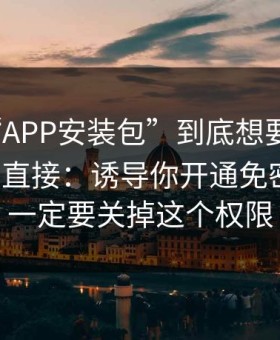 这种“APP安装包”到底想要什么？答案很直接：诱导你开通免密支付；一定要关掉这个权限