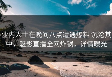 业内人士在晚间八点遭遇爆料 沉沦其中，魅影直播全网炸锅，详情曝光