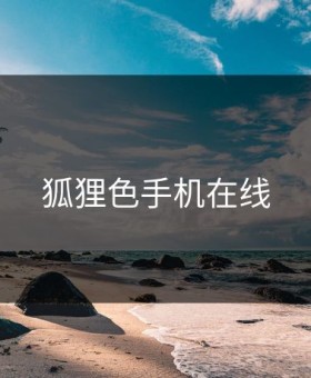 狐狸色手机在线