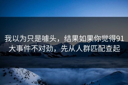我以为只是噱头，结果如果你觉得91大事件不对劲，先从人群匹配查起