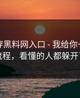 我来拆穿黑料网入口 - 我给你一套排雷流程，看懂的人都躲开了