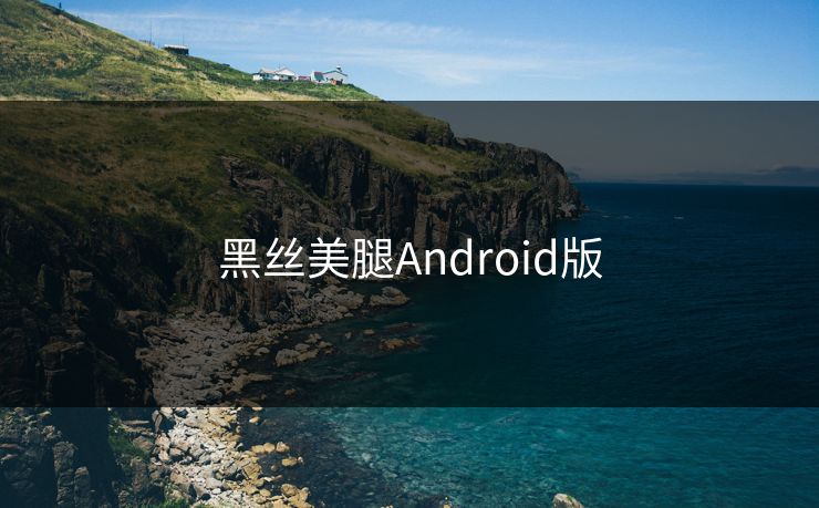 黑丝美腿Android版
